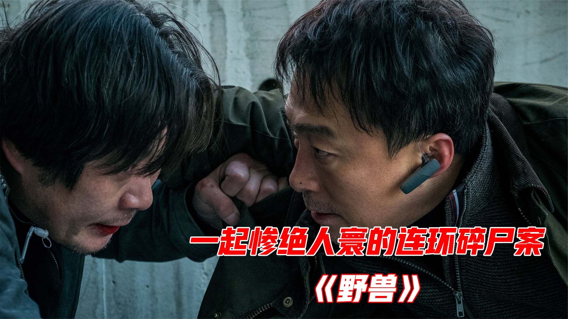 韩国最新犯罪电影，警界双雄为争权上位，不惜手足相残！