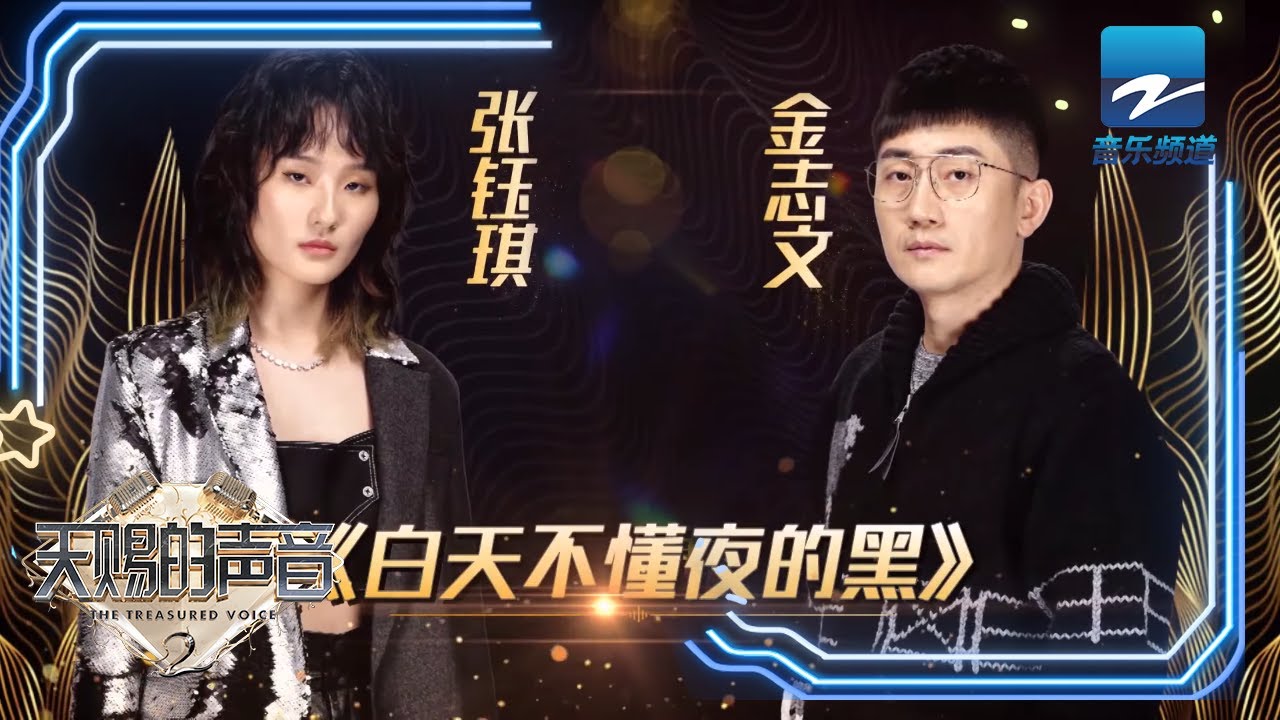 白天不懂夜的黑-金志文/张钰琪