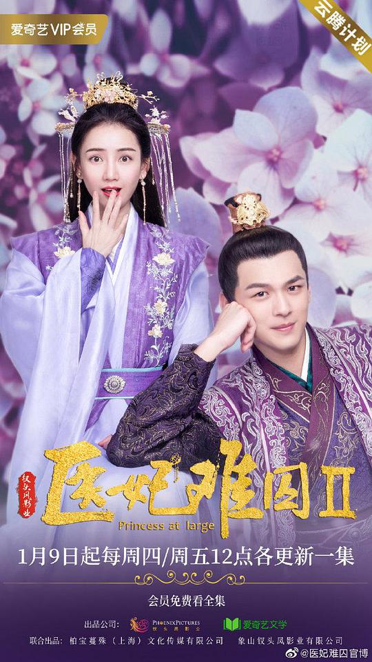 医妃难囚第二季
