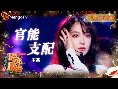 官能支配-宋茜