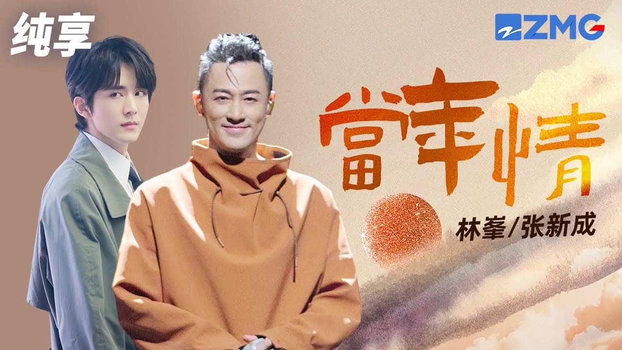 当年情-林峯/张新成