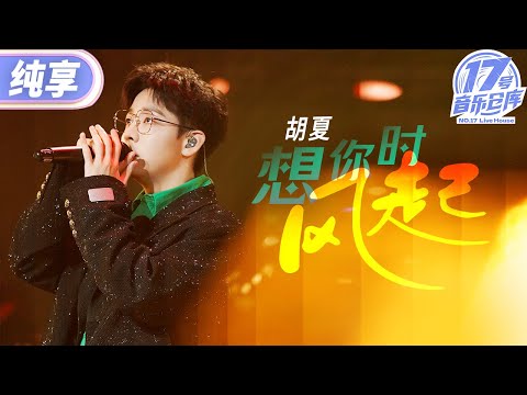 想你时风起--胡夏