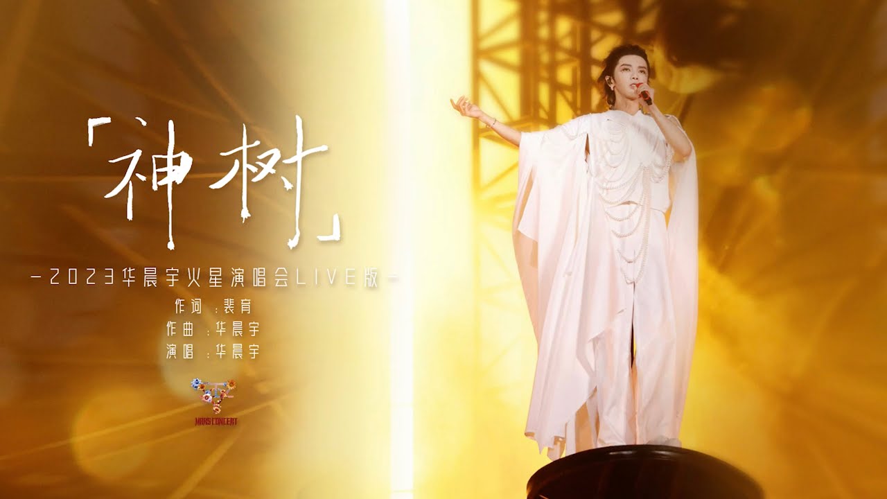 神树-华晨宇