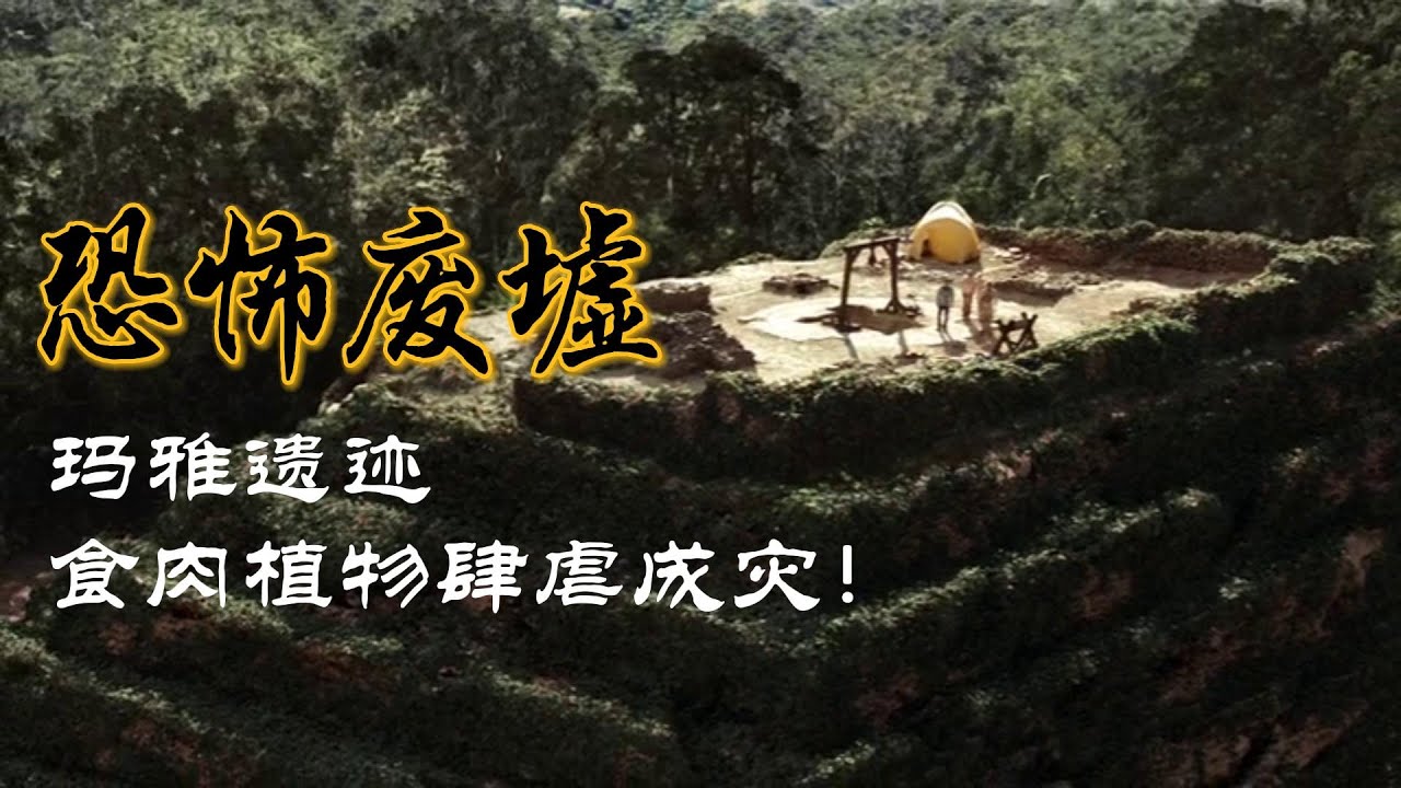 一部R级的惊悚恐怖片，很多片段我都是闭着眼睛看的，导演真敢拍
