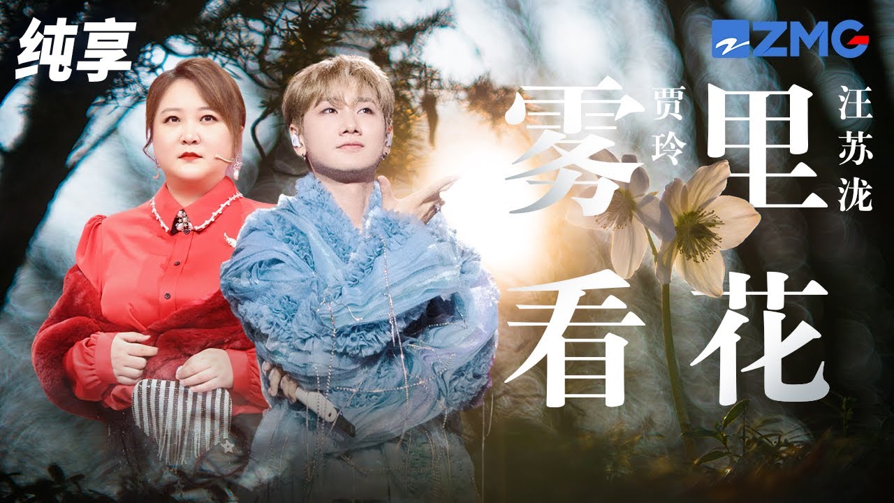 雾里看花-贾玲/汪苏泷