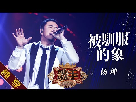 被驯服的象--杨坤
