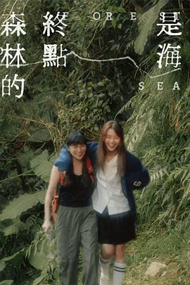 森林的终点+(是海