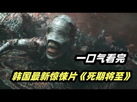 一口气看完韩国最新惊悚悬疑电视剧《死期将至》