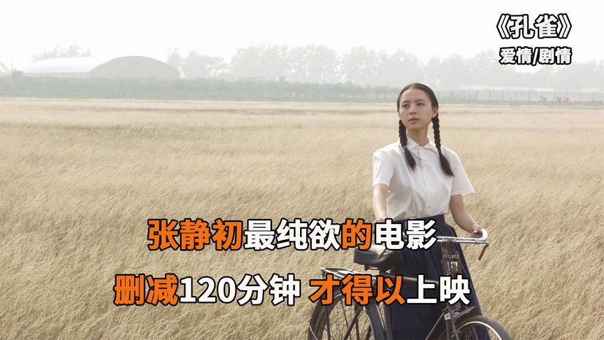 深度解说《孔雀》：处女作就如此惊艳，实在不多见！一部被严重低估的国产青春电影！