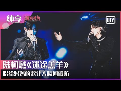 迷途羔羊-陆柯燃
