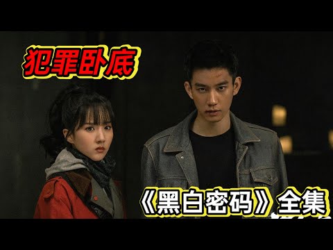 最新警匪大剧，卧底缉毒拳拳到肉丨一口气看完王子奇吴晓彤《黑白密码》