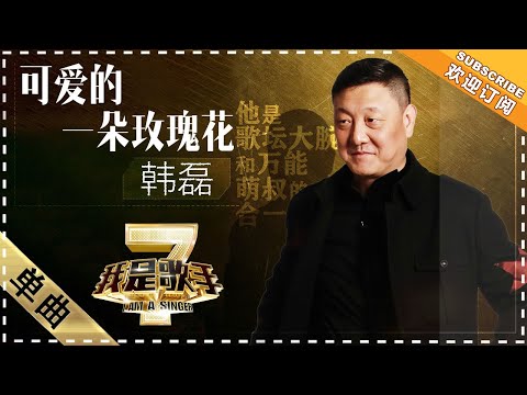 可爱的一朵玫瑰花--韩磊