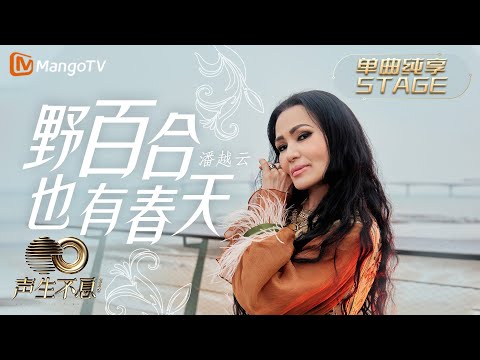 野百合也有春天--潘越云