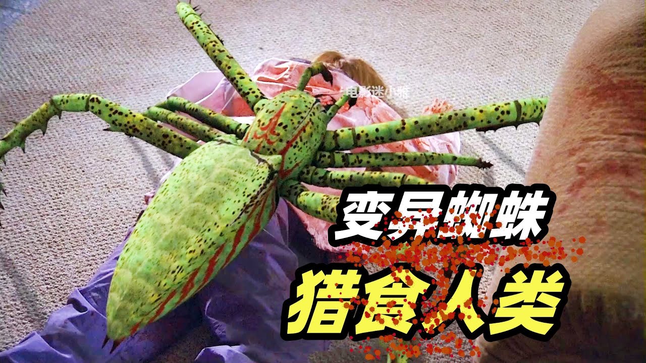 变异大蜘蛛血洗实验室，人类都成了它们的口粮！恐怖片《冰冻蜘蛛》