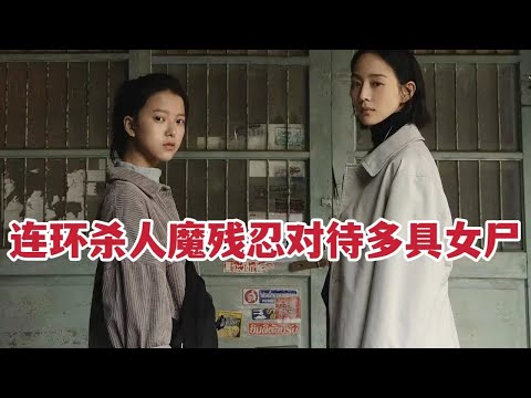 连环杀人魔残忍对待多名女尸，飒爽美女律师以身涉险调查案件《追缉》