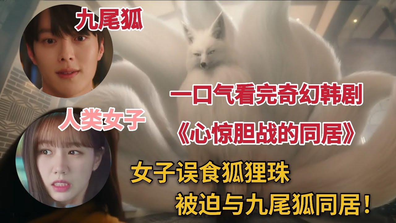 美女误吞千年九尾狐内丹，被迫与其同居，一口气看完奇幻韩剧《心惊胆战的同居/我的室友是九尾狐》