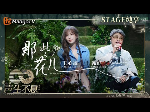 那些花儿-韩红/王心凌