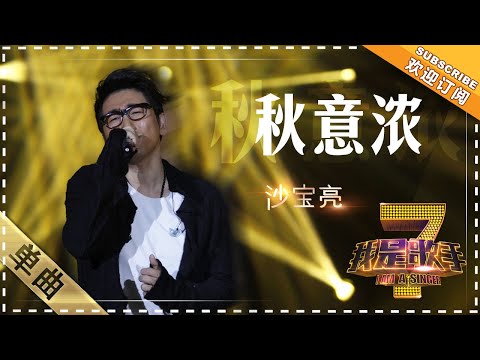 秋意浓--沙宝亮