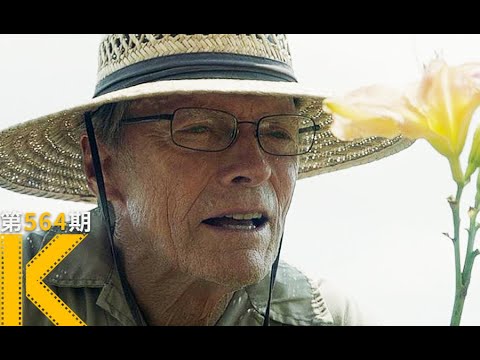 88岁老司机的最后一搏，东木自导自演《骡子》
