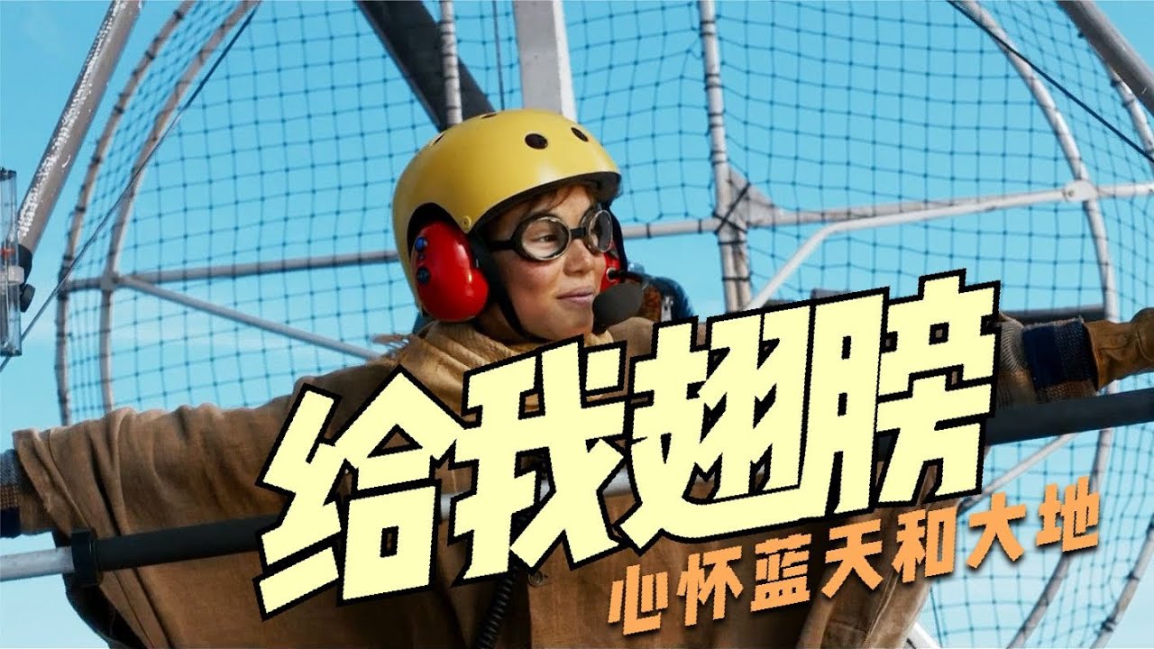 14岁男孩独自开飞机带领20只大雁，飞跃数千公里完成“人工迁徙”