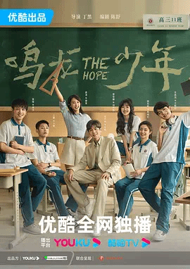 鸣龙少年TV版