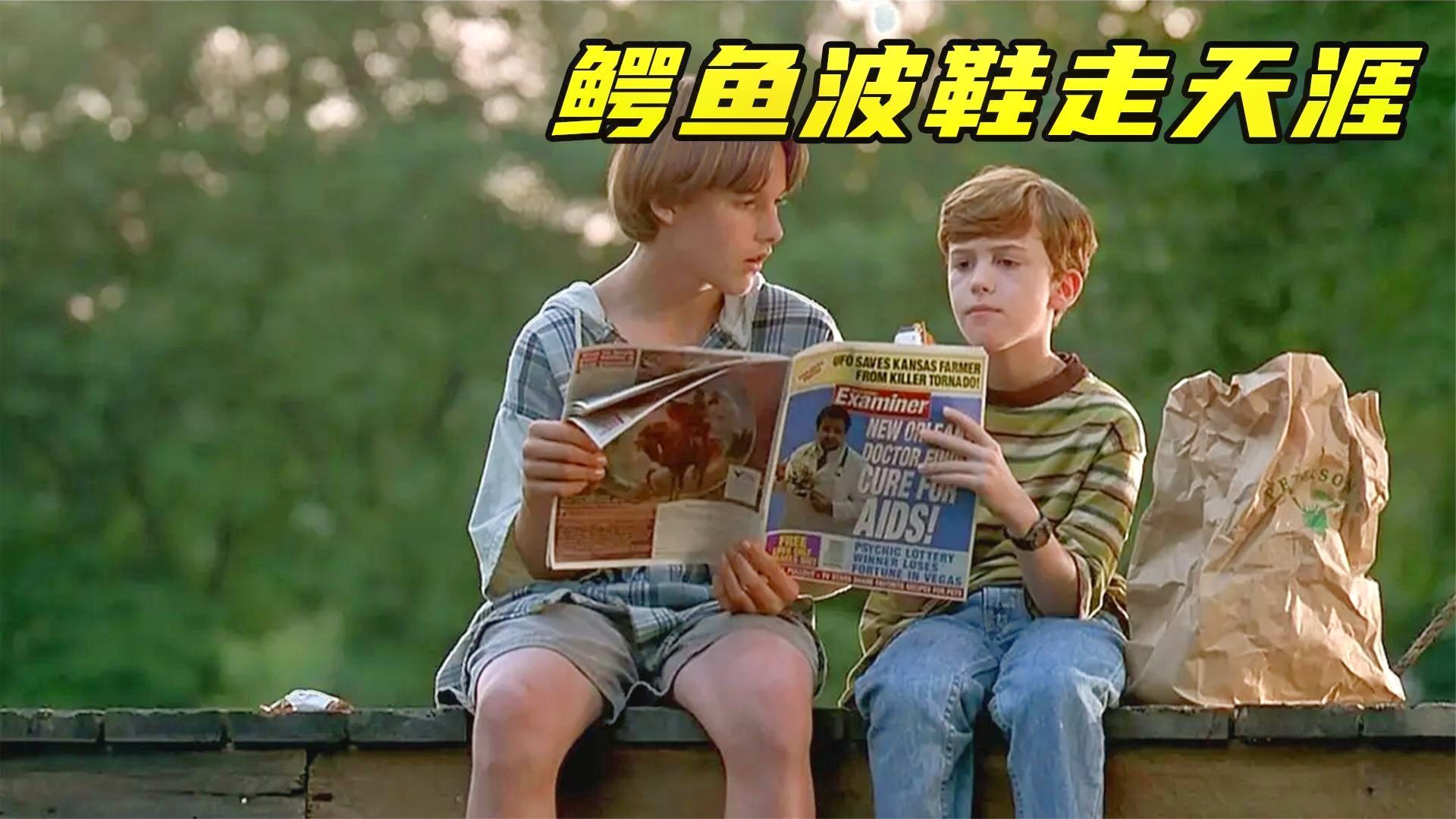 豆瓣9.1分，又被我挖到一部冷门佳片，这种片子真不多见！速看《鳄鱼波鞋走天涯》