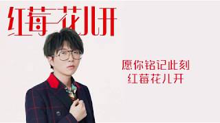 红莓花儿开-毛不易