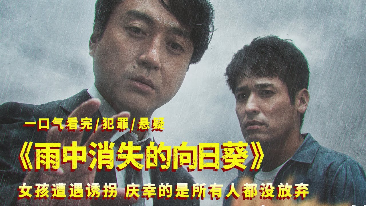一口气看完《雨中消失的向日葵》，太揪心了，差点哭死，还好都没放弃！