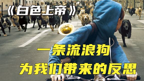 宠物狗被人类抛弃后，带领数百只流浪狗大军，攻占城市报复人类