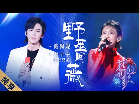 野蔷薇-戴佩妮/刘宇宁