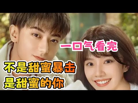 总裁与小娇妻甜蜜创业！都市萌宠治愈轻喜剧！一口气看完【甜蜜的你】