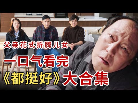 倪大红花式折腾儿女！一口气看完《都挺好》全集
