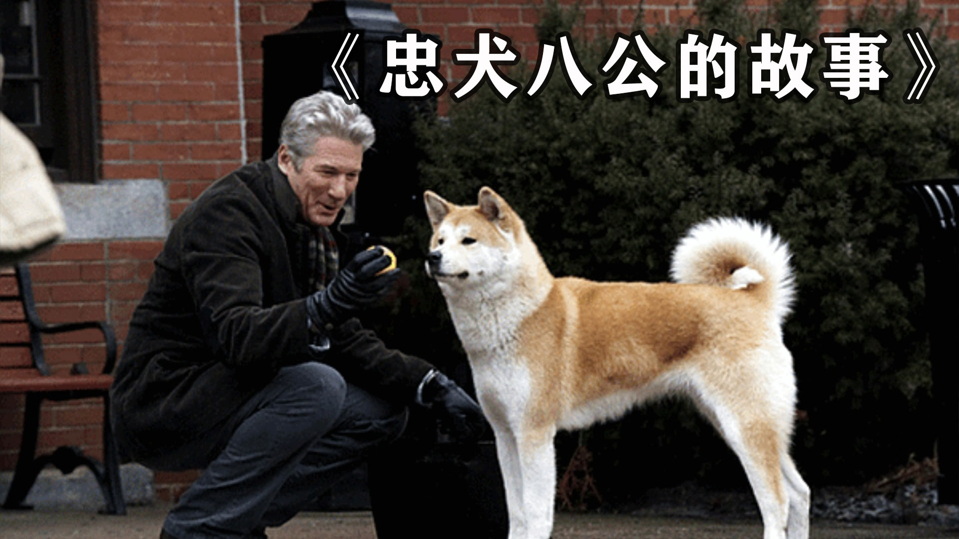 小狗在火车站等待去世的主人一直等了10年，真实故事改编感人治愈