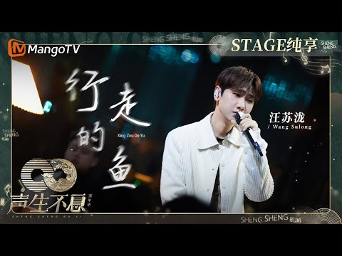 行走的鱼-汪苏泷