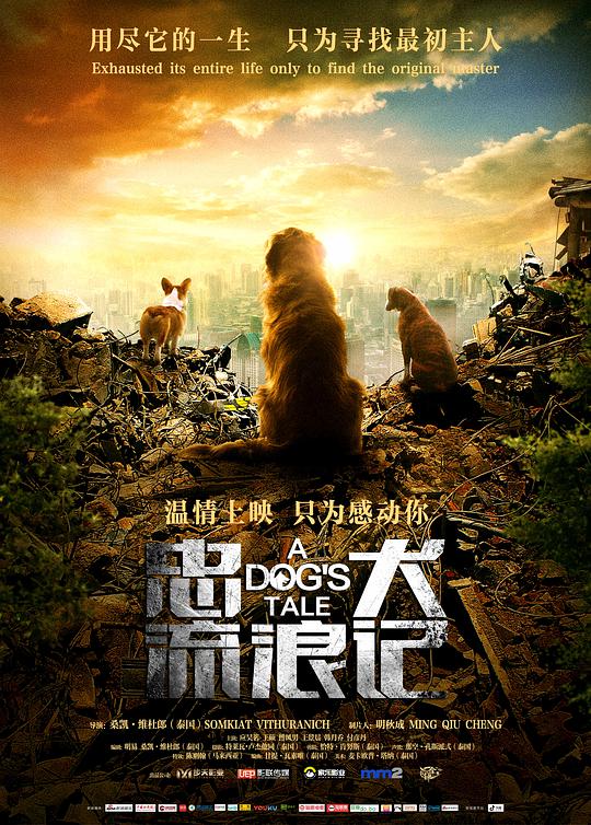 忠犬流?浪记