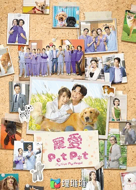 宠爱PetPet(国)