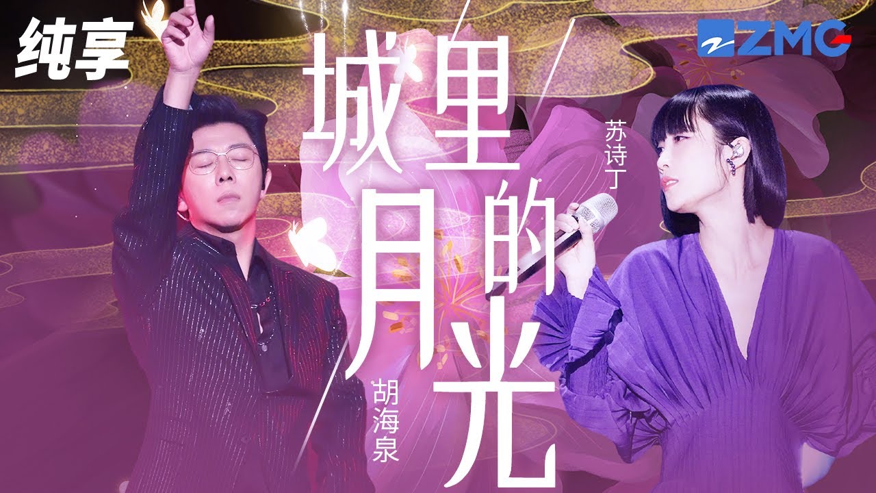 城里的月光-胡海泉/苏诗丁