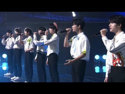 小小孩-TNT时代少年团