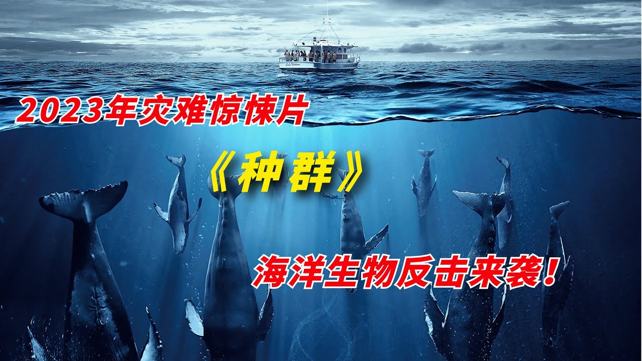 未知智慧种群操控海洋袭击人类，一口气看完2023年灾难惊悚片《种群》