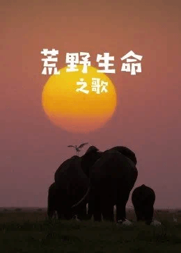 荒野生命之歌