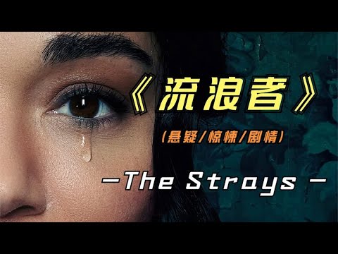 2023年最新悬疑影片《流浪者》从没见过如此厚颜无耻之人，真虐心