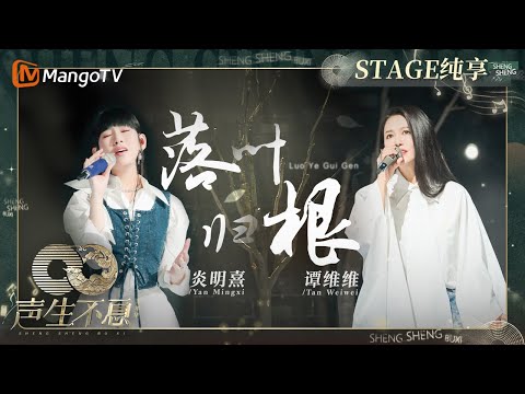 落叶归根-谭维维/炎明熹
