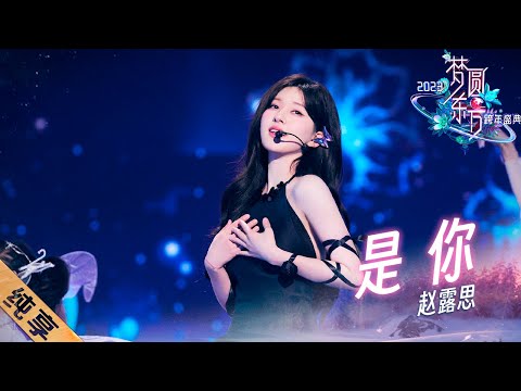 是你-赵露思