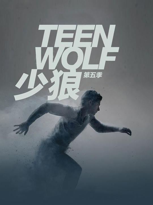 少狼第五季