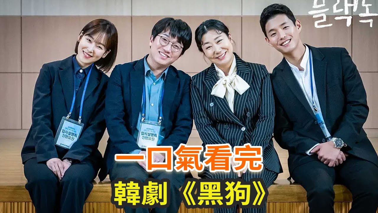 韩剧《黑狗》一口气看完，豆瓣高分校园职场韩剧，韩国的高中原来这么卷！