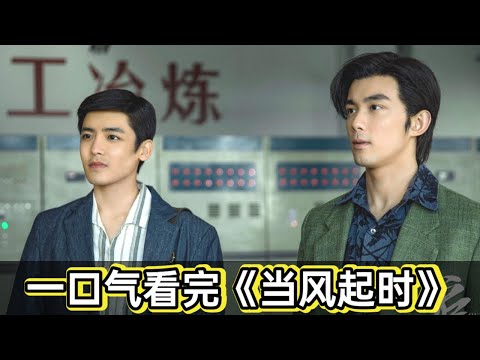 90年代钱真好赚，小伙凭借两百元一月狂赚五百万,一口气看完吴磊《当风起时》