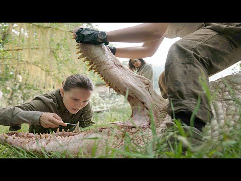 女博士进入“禁区”，发现生物全都变异，最后连自己也进化了！《湮灭》