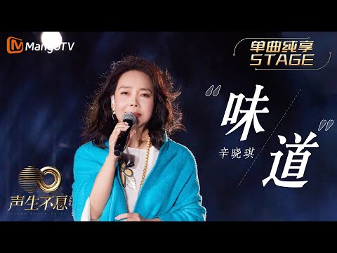 味道-辛晓琪