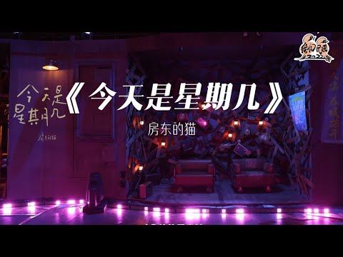 今天是星期几-房东的猫