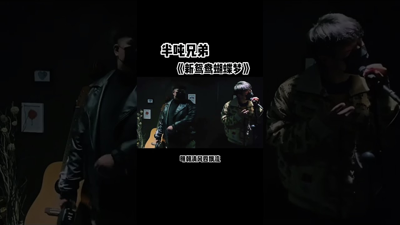 新鸳鸯蝴蝶梦-半吨兄弟